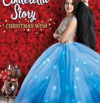 灰姑娘的故事：圣诞愿望 A Cinderella Story: Christmas Wish